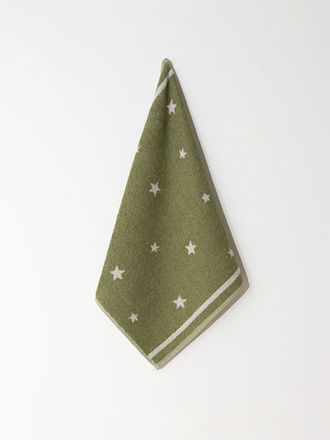 Set of 4 Terry Towels Green