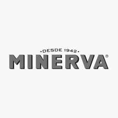 Minerva