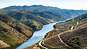 Portuguese Wine Tourism